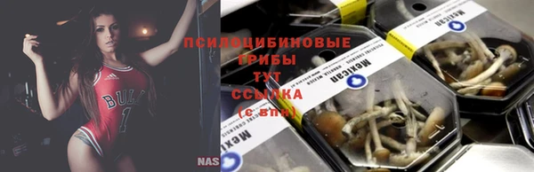 наркотики Михайловка