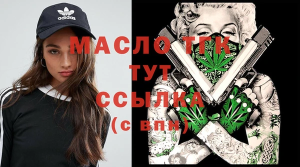 тгк Михайлов