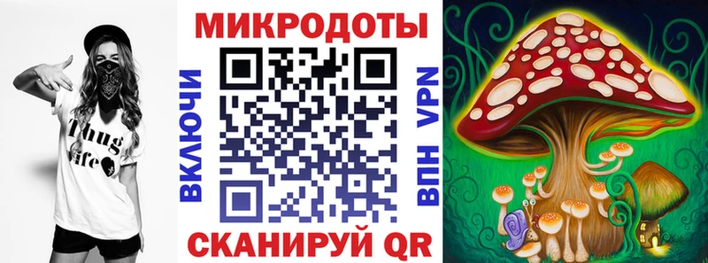Псилоцибиновые грибы прущие грибы  Приволжский 